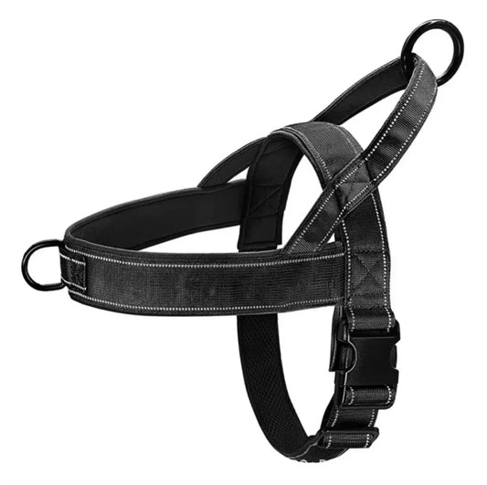 No-pull dog harness guide - MundoPeludo!