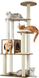 How to Tell If Your Cat Needs a Scratching Post: 4 Signs You Shouldn't Ignore
