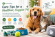 Everything Your Pet Needs