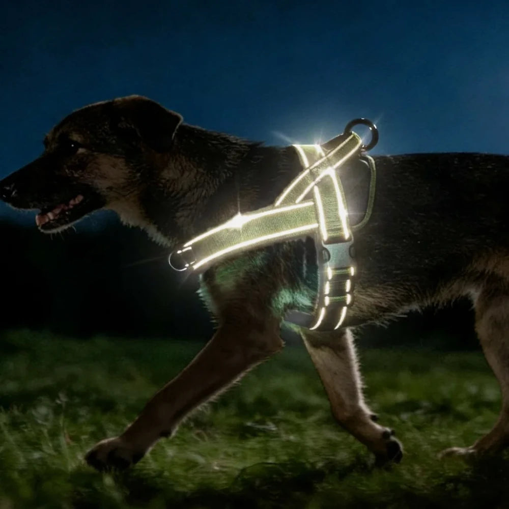 Padded breathable no-pull harness for dogs