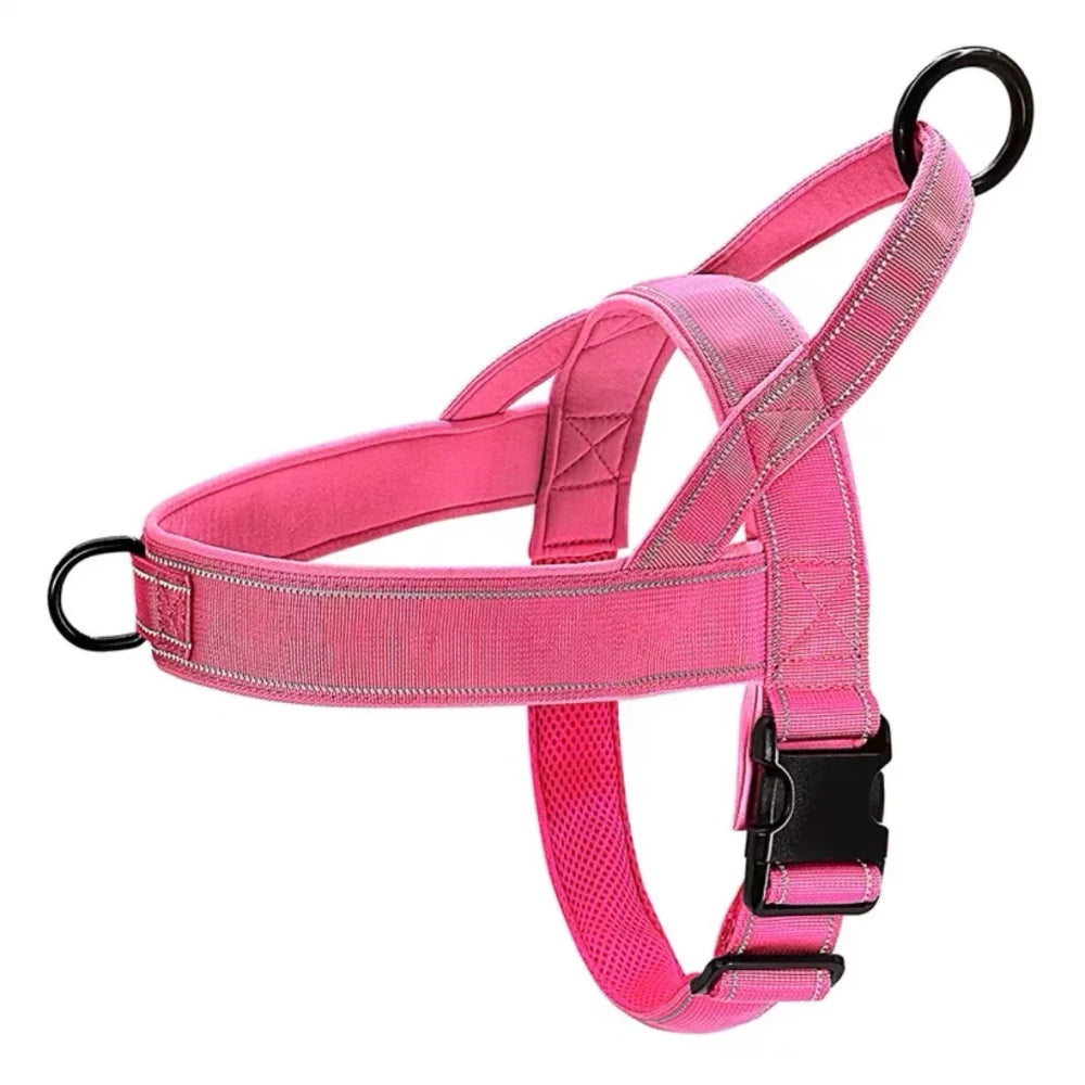 No-pull dog harness, buckle detail