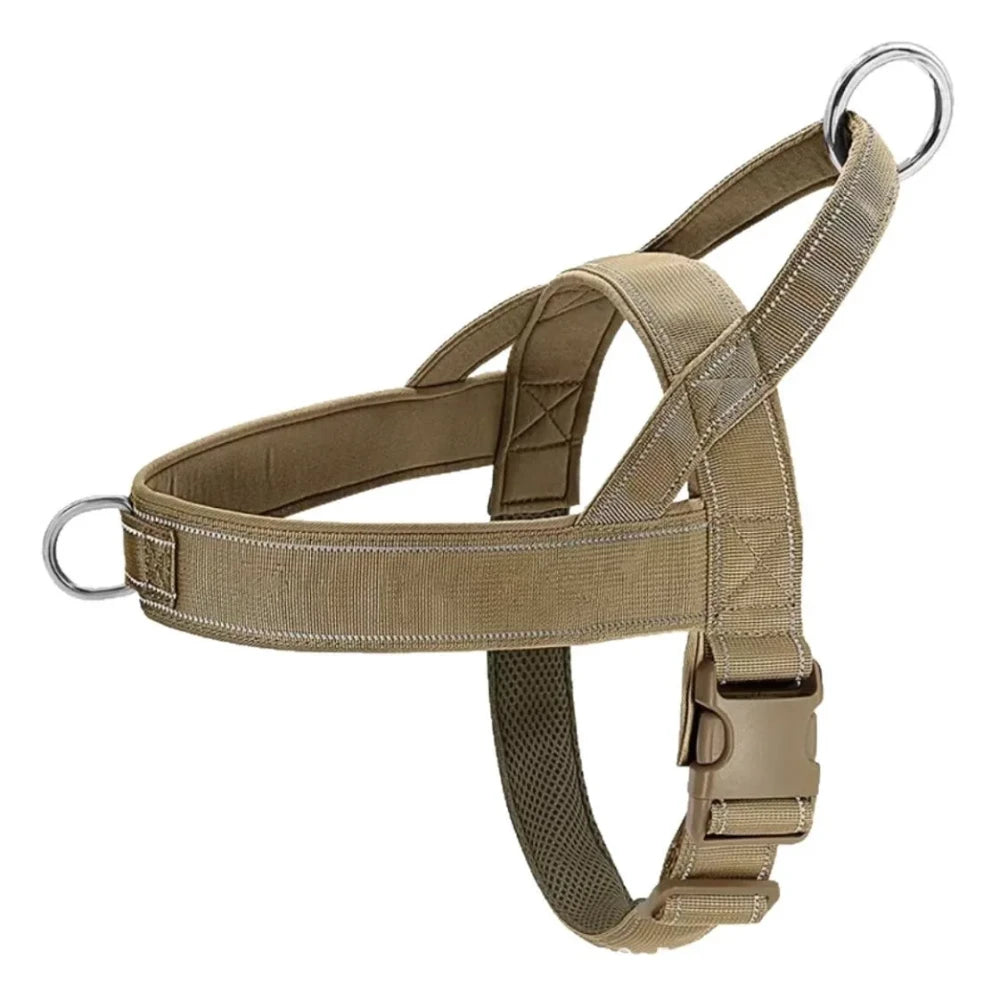 No-pull dog harness worn on a walk