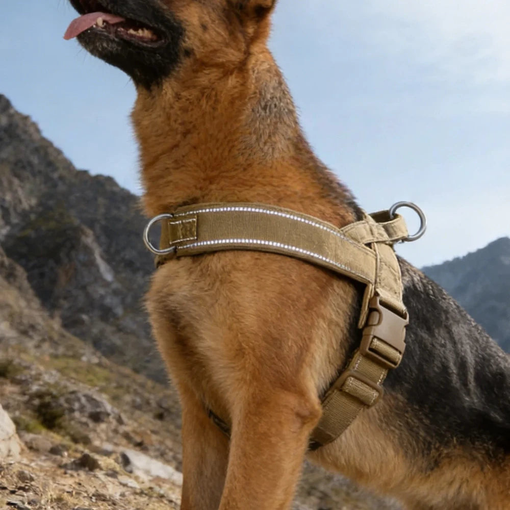Tactical no-pull harness for dogs - Mundo Peludo