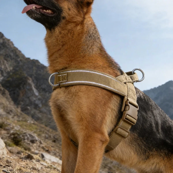 Tactical No-Pull Harness for Dogs