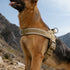 Tactical no-pull harness for dogs - Mundo Peludo