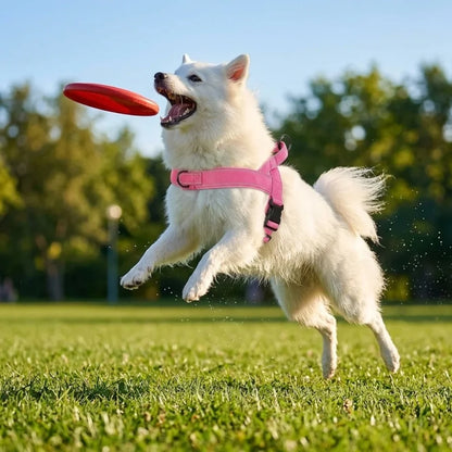Adjustable dog harness, sizes S to XL