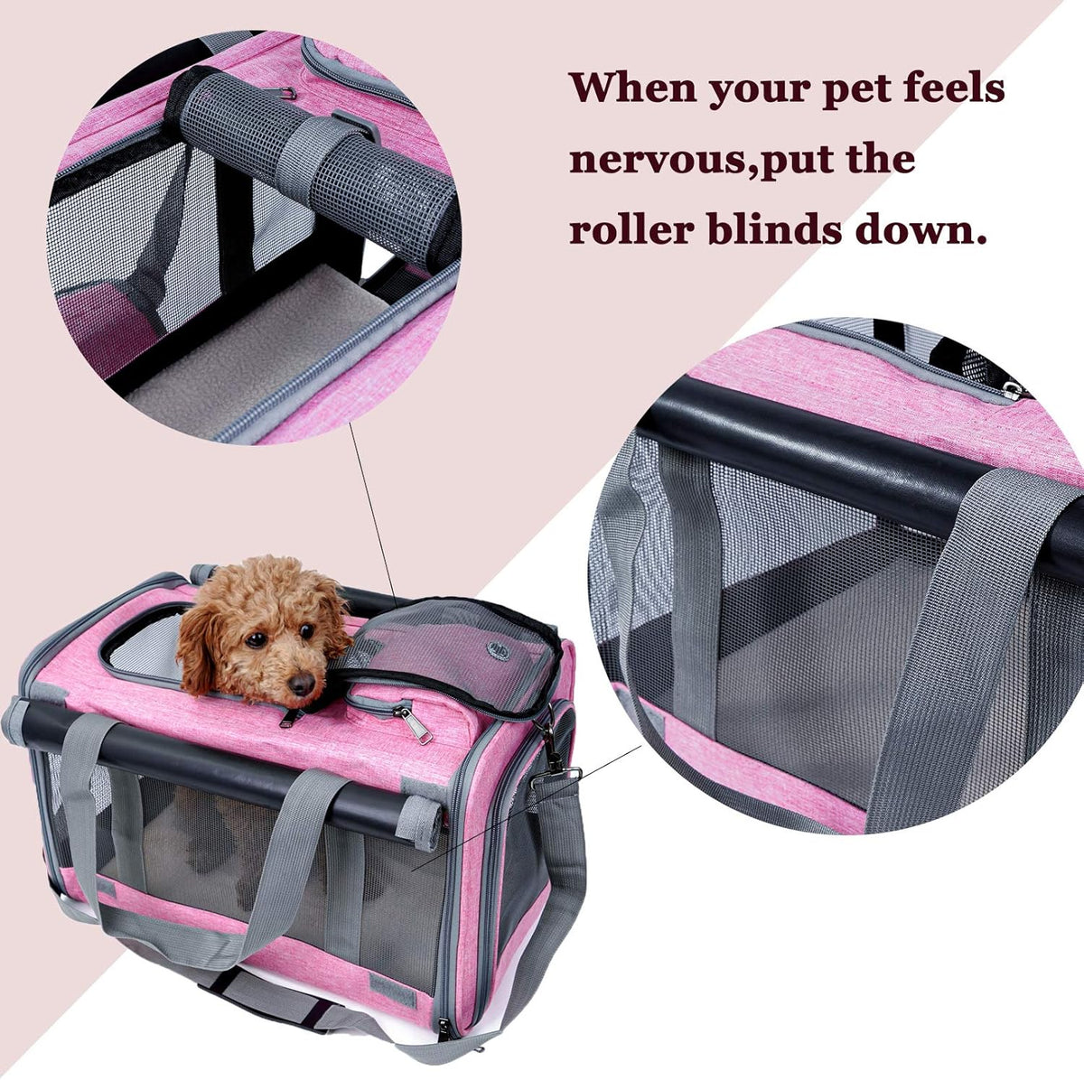 Soft-sided carrier for medium and large cats