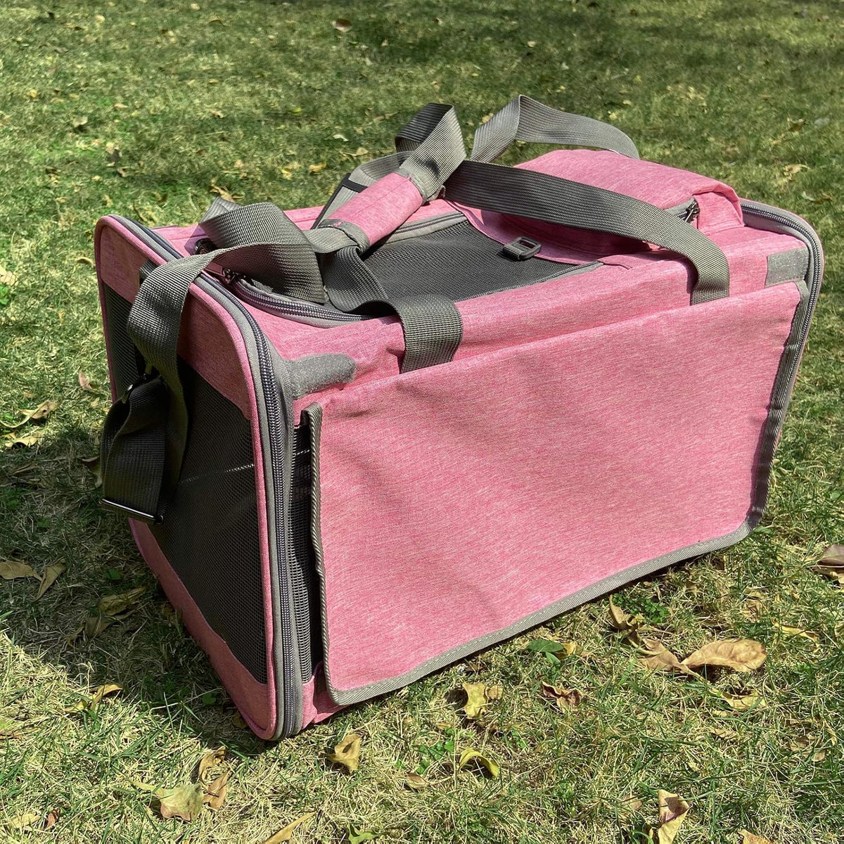 Cat carrier with side ventilation