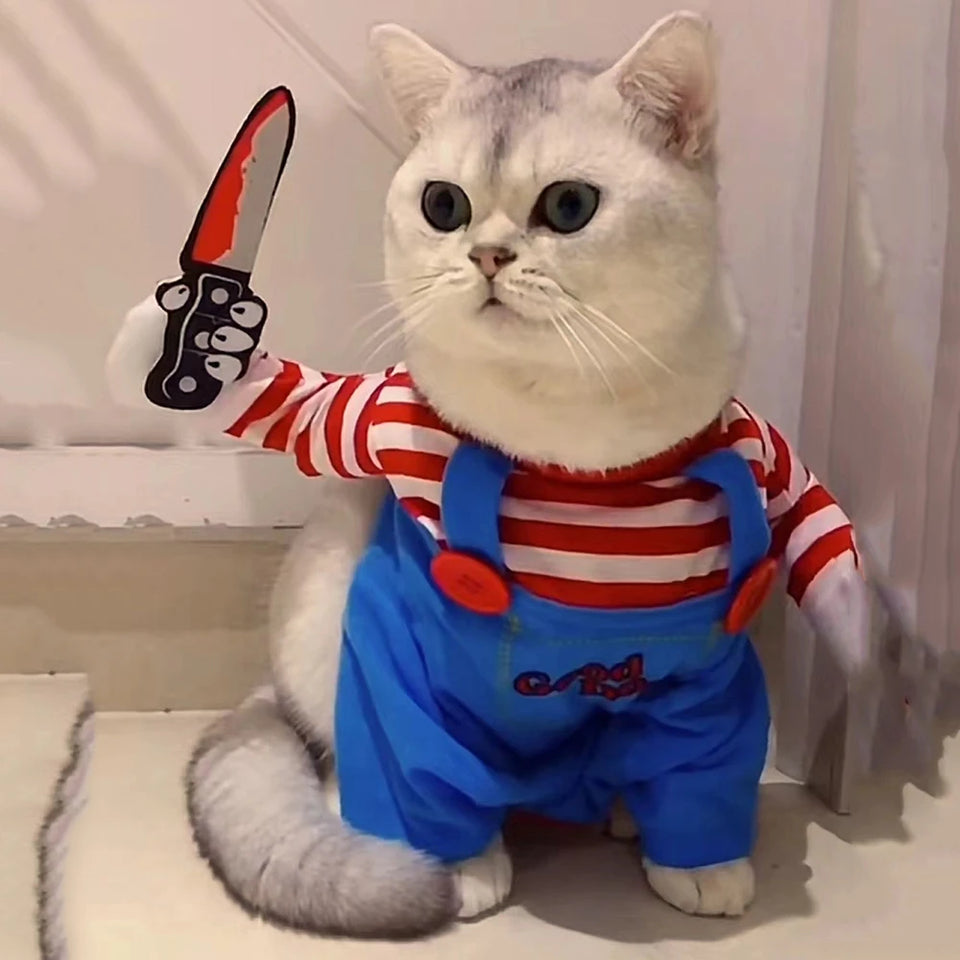 Halloween pet costume - front view
