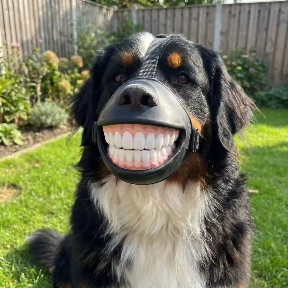 Smiling Dog Muzzle | Anti-Bite Mask That Makes Your Dog Look Thrilled About It