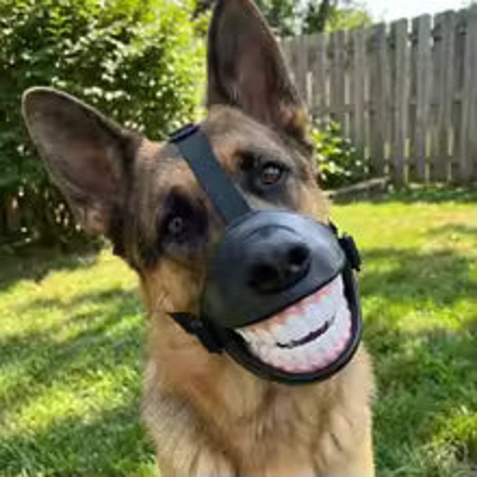 Smiling Dog Muzzle | Anti-Bite Mask That Makes Your Dog Look Thrilled About It