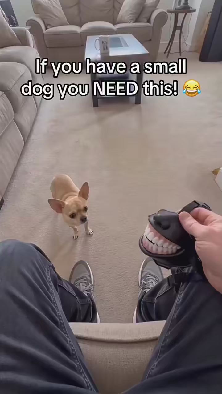 Smiling Dog Muzzle | Anti-Bite Mask That Makes Your Dog Look Thrilled About It
