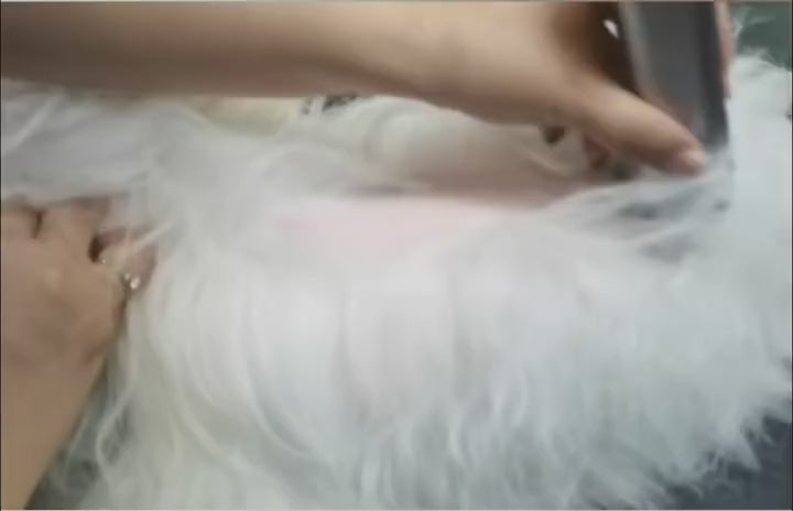 Quiet rechargeable pet clipper – low-noise grooming demo